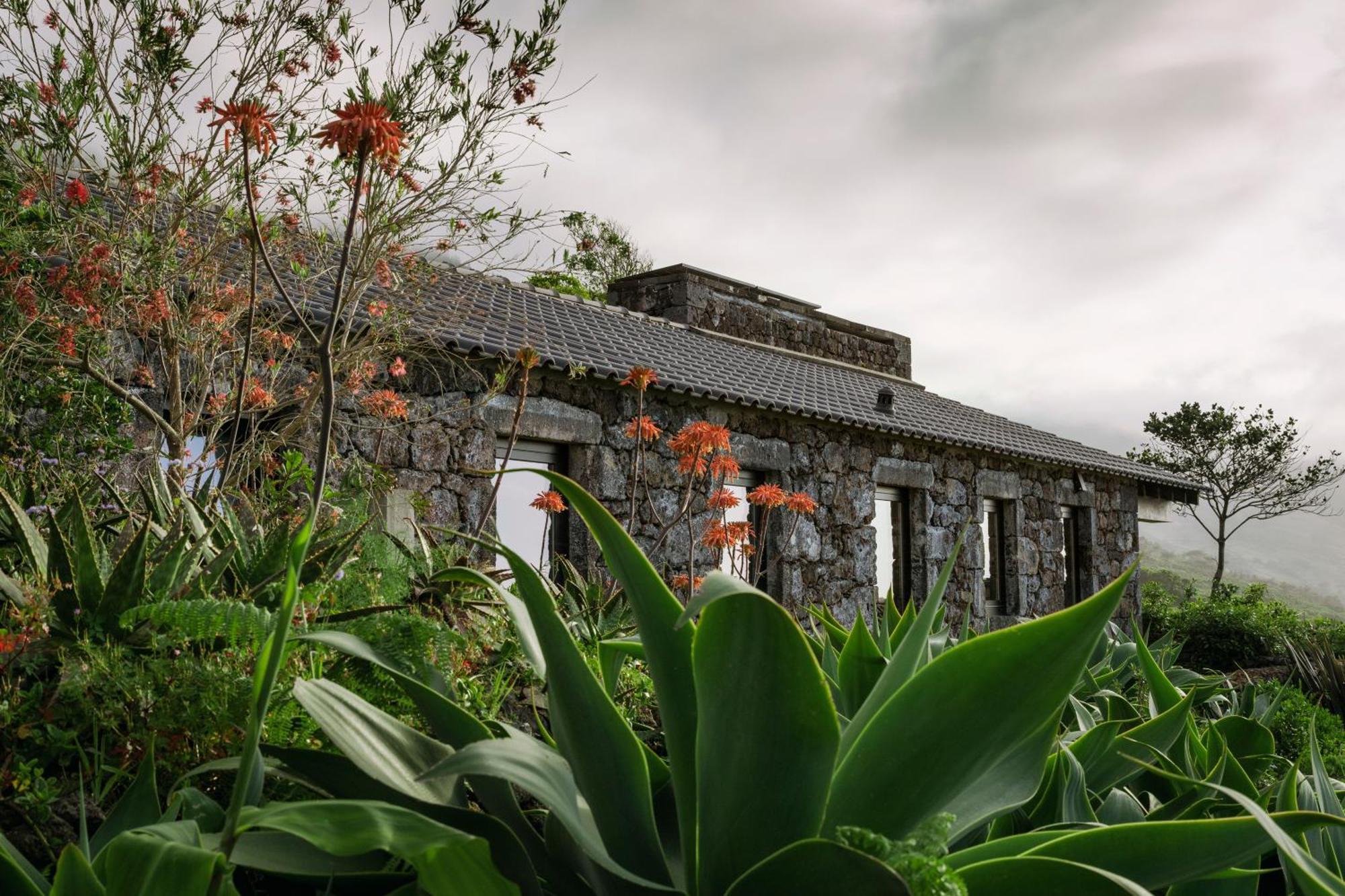 Lava Homes Santo Amaro  Eksteriør bilde
