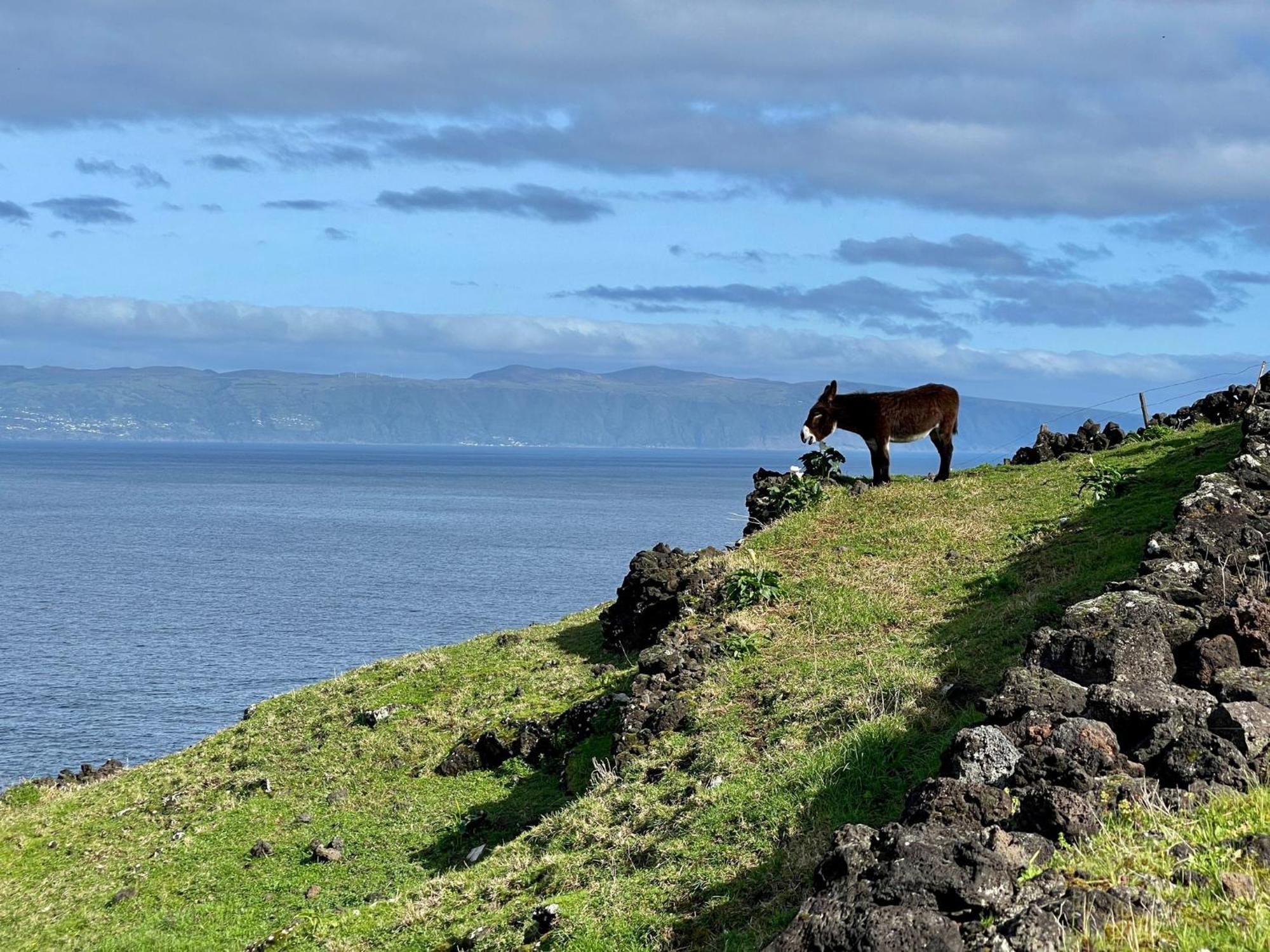 Lava Homes Santo Amaro  Eksteriør bilde